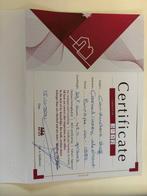 Canne - Ivoire - Cond en ivoire sculpté antique, Antiek en Kunst