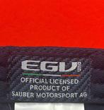 Sauber Alfa Romeo - Charles Leclerc - Pet, Collections