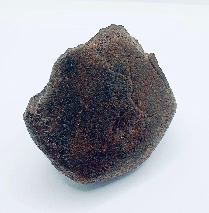 Niet-geclassificeerde NWA meteoriet Chondrite meteoriet -, Verzamelen, Mineralen en Fossielen