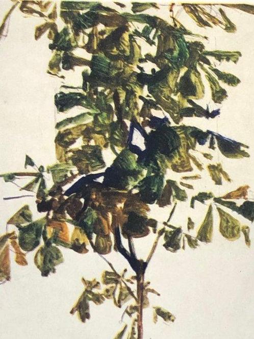 Egon Schiele (1890-1918) (after) - Kastanienbaum am Bodensee, Antiek en Kunst, Antiek | Overige Antiek