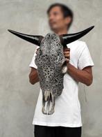 GEEN RESERVEPRIJS - Prachtige grote grijze handgesneden