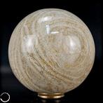 Natuurlijk AA+++ Fossiel Goniopora-koraalbol, Australië,, Verzamelen