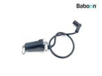 Bobine Ducati 750 SS 1991-1998 (750SS), Verzenden, Gebruikt