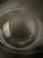 M.C. Escher (1898-1972), after - Oog