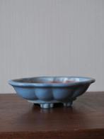 - Conteneur - Porcelaine - Pot de bonsaï Shungado