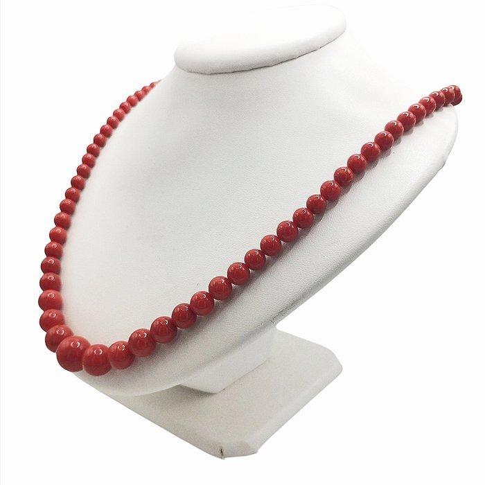 Bloedkoraal Koraal - Corallium rubrum, Antiquités & Art, Curiosités & Brocante