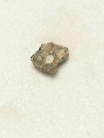 NWA 8687 - meteoriet maan-troctoliet - 0.12 g - (1), Verzamelen