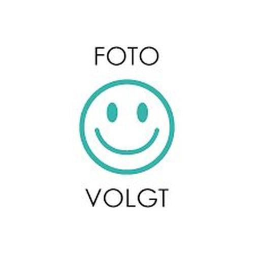 Pluspunt versie 4 Handleiding Algemeen groep 8, Boeken, Schoolboeken, Verzenden