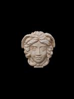 sculptuur, Decorazione  Medusa Rondanini  - 17 cm -