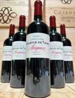 2009 Château Bellevue de Tayac - Margaux Grand Cru - 6, Verzamelen, Wijnen, Nieuw