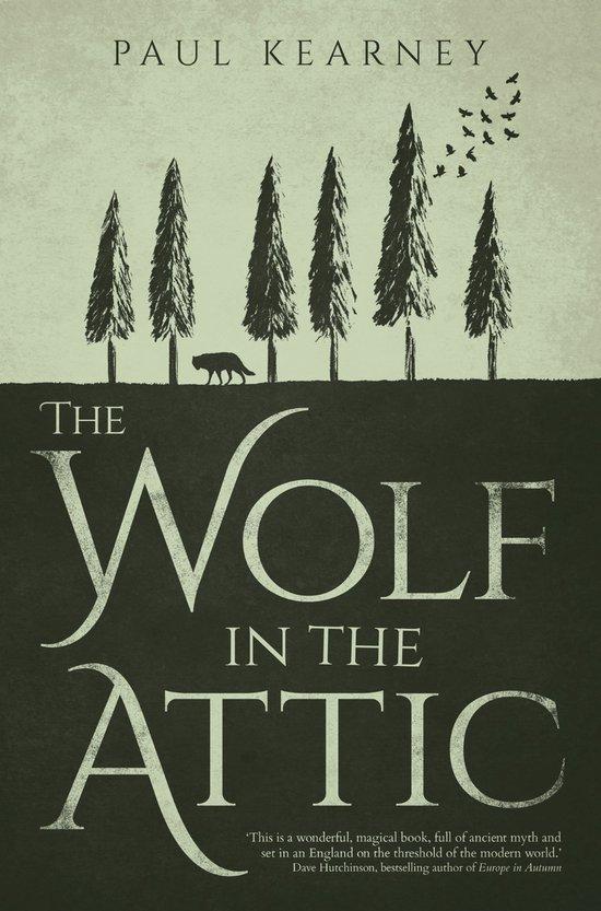Wolf In The Attic 9781781083611 Paul Kearney, Boeken, Taal | Engels, Gelezen, Verzenden