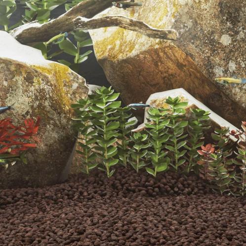 vidaXL Lavastenen 25 kg 1-2 cm rood, Dieren en Toebehoren, Vissen | Aquaria en Toebehoren, Nieuw, Verzenden