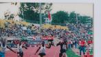 Rencontre dathlétisme - LEROY BURELL - 1994 - Photographie, Nieuw