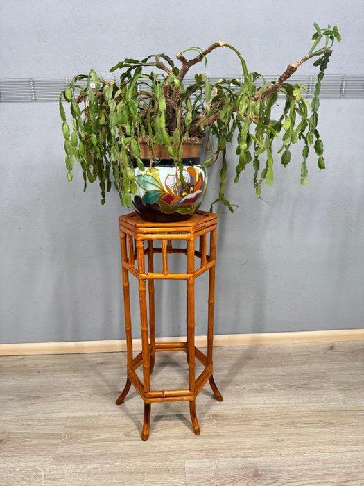 Plantentafel - Bamboe, Antiek en Kunst, Kunst | Designobjecten