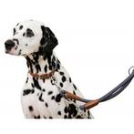 Collier phoenix, marron/bleu, 9 mm, 30-40 cm, Animaux & Accessoires, Accessoires pour chiens