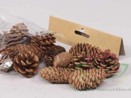 Dennenappel Ray Cones Naturel 100 gram kleinverpakking, Hobby en Vrije tijd, Knutselen, Nieuw