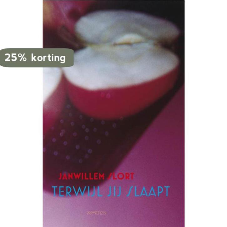 Terwijl Je Slaapt 9789044617245 Janwillem Slort, Boeken, Romans, Zo goed als nieuw, Verzenden