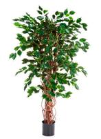 Kunstplant Ficus Exotica 210 cm, Verzenden