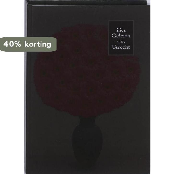 Het Geheim van Utrecht 9789086901999 Rik Suermondt, Boeken, Kunst en Cultuur | Beeldend, Gelezen, Verzenden