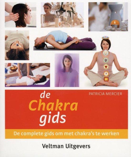 De Chakra gids - Patricia Mercier - 9789059207486 - Paperbac, Boeken, Esoterie en Spiritualiteit, Verzenden