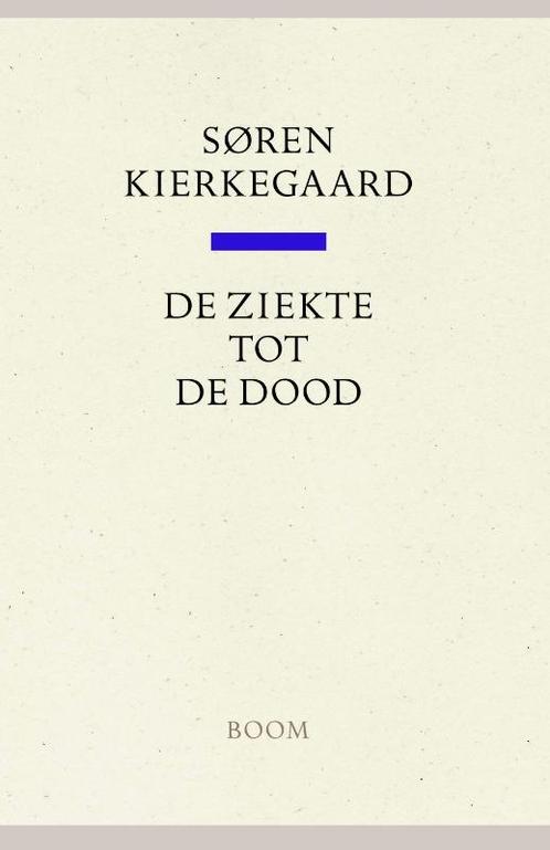 De ziekte tot de dood / Kierkegaard Werken 9789085066101, Boeken, Godsdienst en Theologie, Zo goed als nieuw, Verzenden
