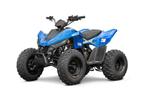 Linhai kinderquad Junior 110, Motoren, Quads en Trikes, 1 cilinder, 11 kW of minder