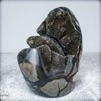 Mooie natuurlijke septarische geode Met calcietkristallen-, Verzamelen