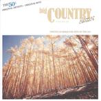 Various - Big Country Classics Volume Six, Verzenden