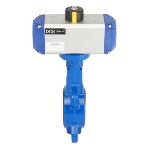 DN50 (2 inch) Wafer Pneumatische Vlinderklep GGG40-GGG40, Doe-het-zelf en Bouw, Overige Doe-Het-Zelf en Bouw, Verzenden