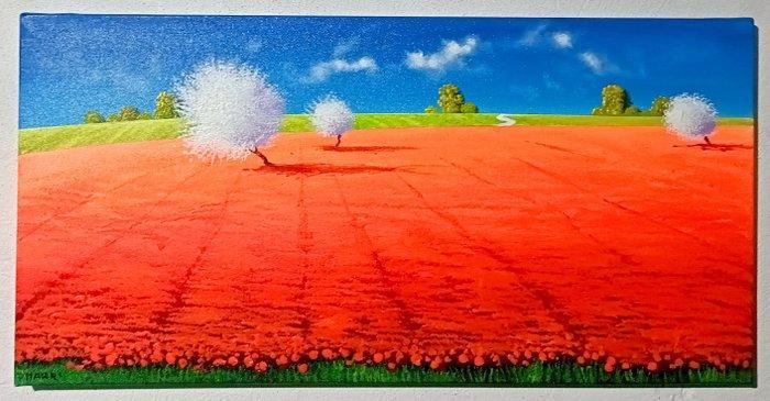 Roberto Mauri (1977) - Il campo silenzioso delle nuvole di, Antiek en Kunst, Kunst | Schilderijen | Klassiek