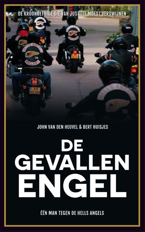 De gevallen engel 9789048829880 Bert Huisjes, Boeken, Thrillers, Gelezen, Verzenden
