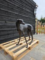 Beeld, Bronze: XL Greyhound Dog - 77 cm - Brons - 2025