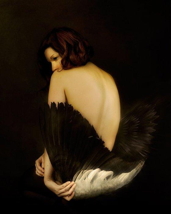 Vincent Rijs - A lost Wing, Antiquités & Art, Art | Objets design