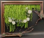 Anoniem - Levend Schilderij met Geconserveerde planten en