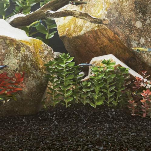 vidaXL Aquariumzand 10 kg 0,2-2 mm zwart, Dieren en Toebehoren, Vissen | Aquaria en Toebehoren, Nieuw, Verzenden