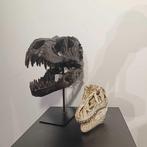 Dinosaurus Schedel - REPLICA- 2x T-REX - SCHEDEL - 30 cm -, Nieuw