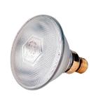 Lampe ir 100w par blanche philips - kerbl