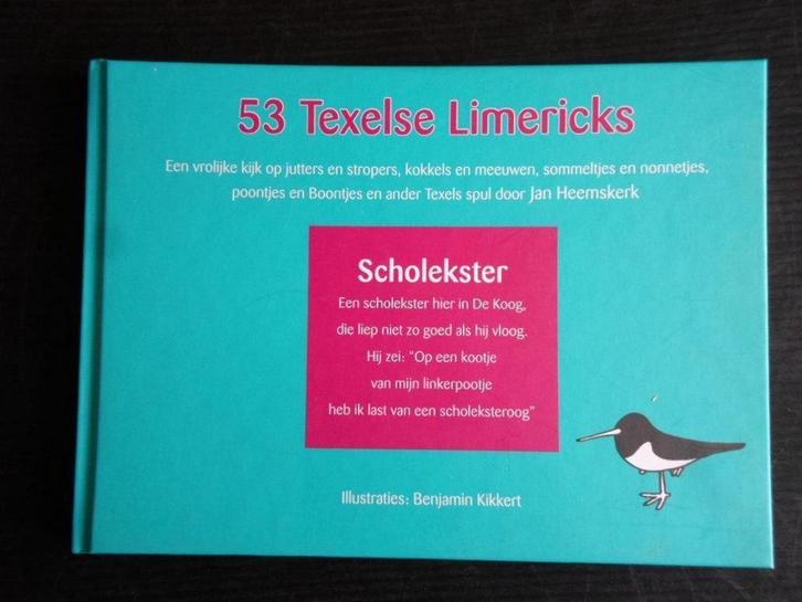 53 Texelse Limericks 9789070133382 Jan Heemskerk, Boeken, Literatuur, Zo goed als nieuw, Verzenden