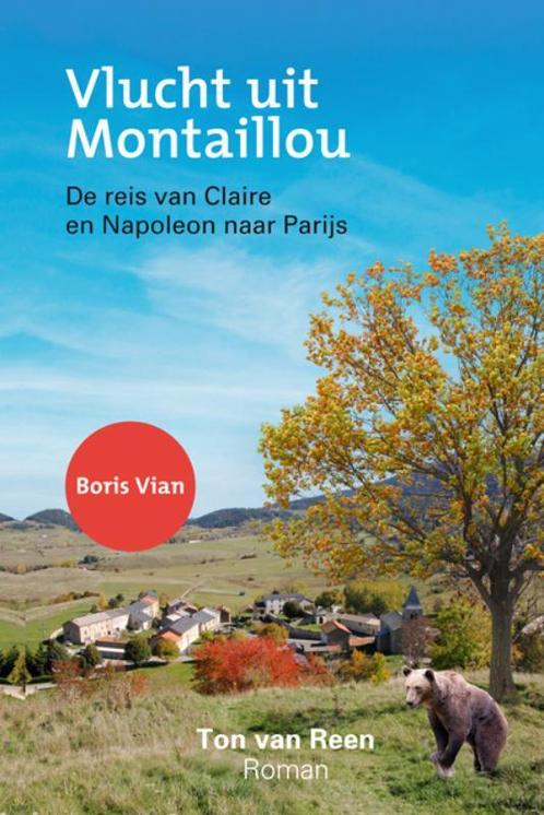 Vlucht uit Montaillou 9789062655045 Ton van Reen, Boeken, Romans, Gelezen, Verzenden