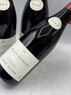2023 André Goichot - Chassagne-Montrachet - 3 Bouteilles, Nieuw