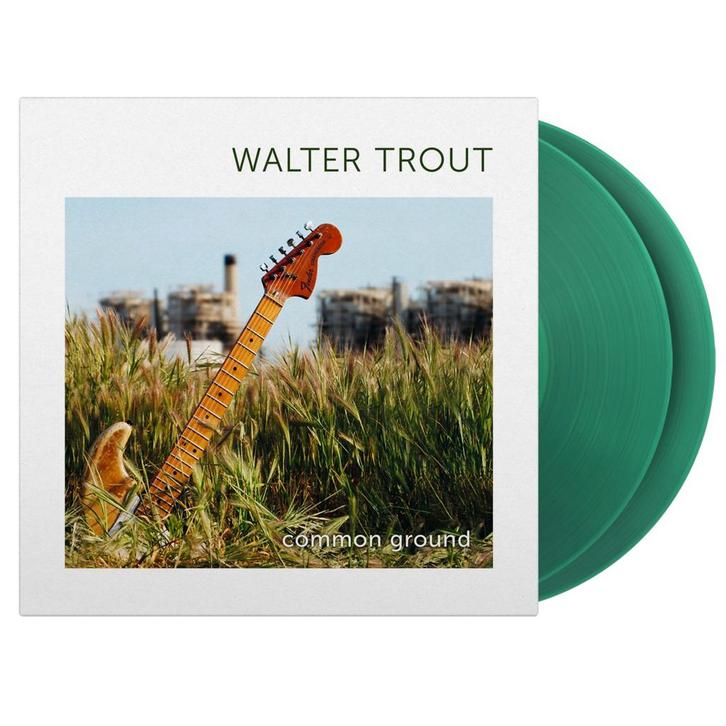 Walter Trout - Common Ground, Cd's en Dvd's, Vinyl | Overige Vinyl, Nieuw in verpakking, 12 inch