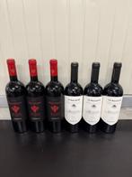 2019 x3 Cotarella Marciliano & 2017 x3 Le Macioche Brunello
