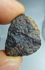 Météorite Lodranite. NWA 17904. La météorite est une brèche, Collections