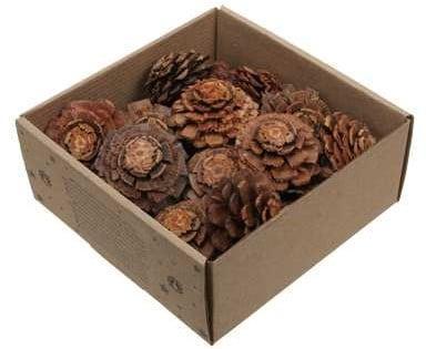 Dennenappel Flower cut Naturel doosje 23 stuks, Hobby en Vrije tijd, Knutselen, Nieuw