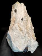 Zwart kwarts op anidriet - Hoogte: 19 cm - Breedte: 10 cm-, Verzamelen