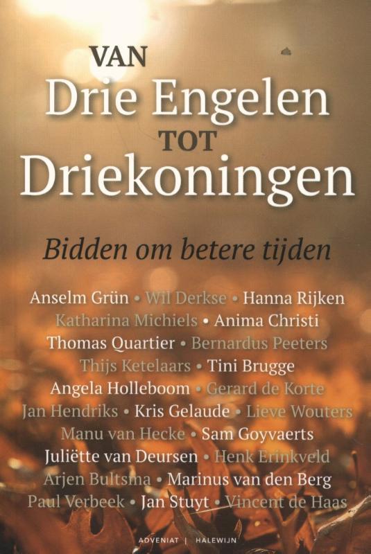 Van Drie engelen tot Driekoningen 9789493161818, Boeken, Godsdienst en Theologie, Zo goed als nieuw, Verzenden