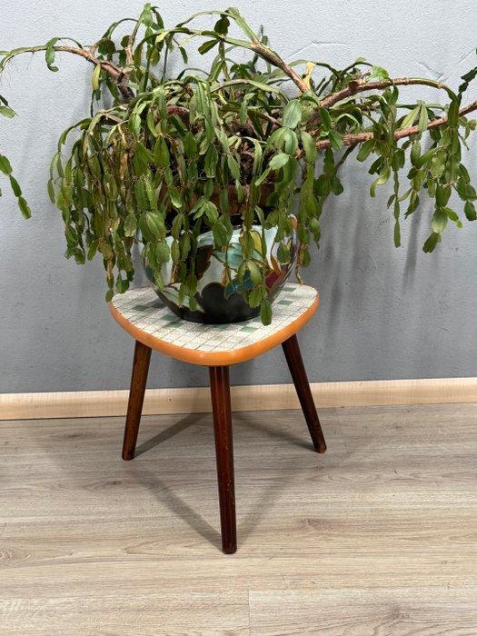 Plantentafel - Hout, Keramiek - Driehoekige bijzettafel -, Antiquités & Art, Art | Objets design