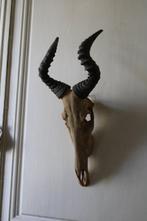 Trophée de chasse, Antiquités & Art