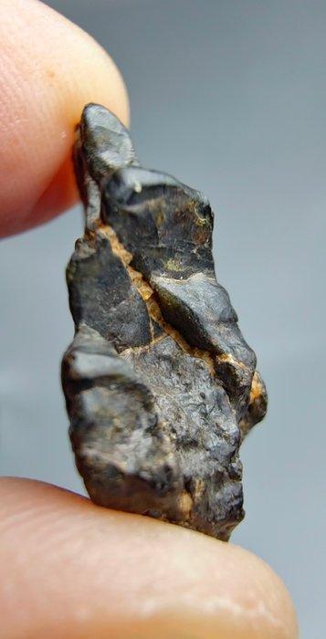 Lodranite Meteoriet. NWA 17904. De meteoriet is een, Verzamelen, Mineralen en Fossielen