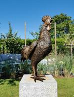 sculptuur, Franch rooster in bronze - 50 cm - Brons